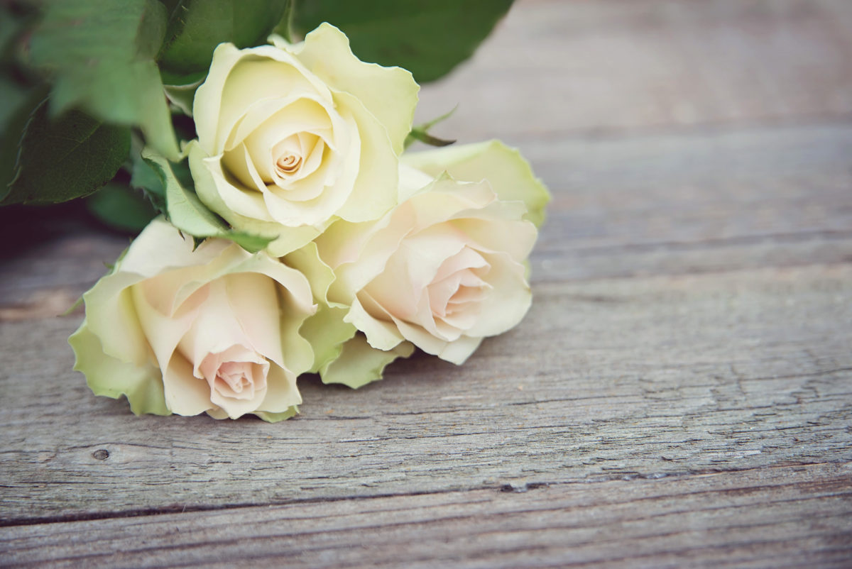 White roses with green laves on a wooden table outdoors